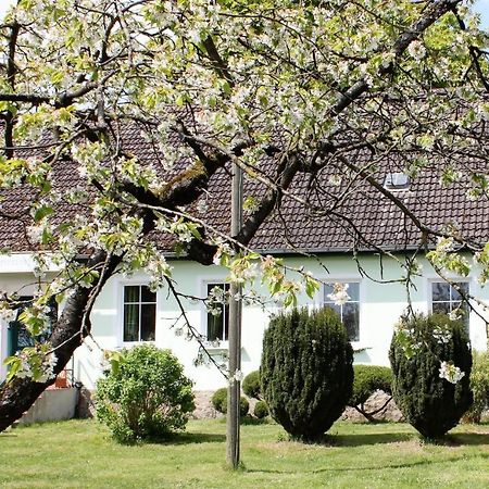 Pension Gestuet Lindenhof Templin Exterior photo